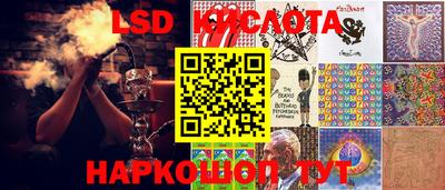 прущие грибы Донской