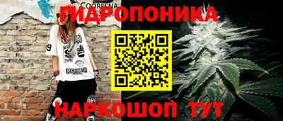 apvp Дубна