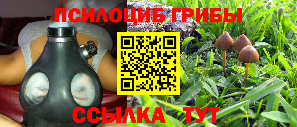 А ПВП Дзержинск